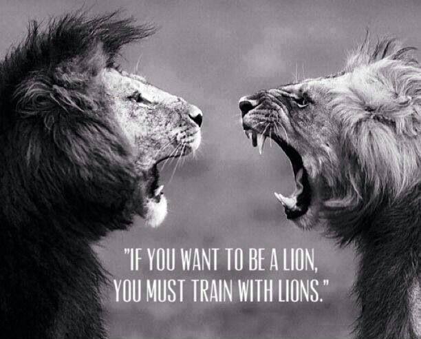 Train With Lions